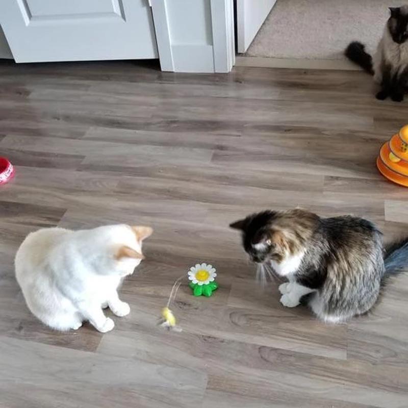 Interactive Bird Toy for Cats - Purrfect Play