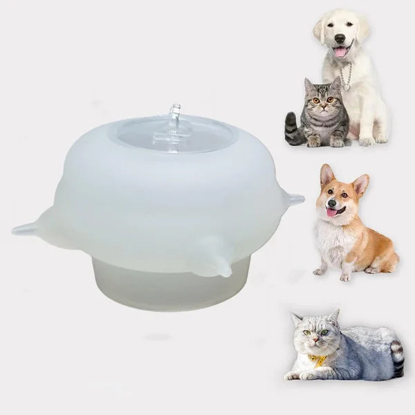 Compacte Melkkom voor Kittens - KittySip