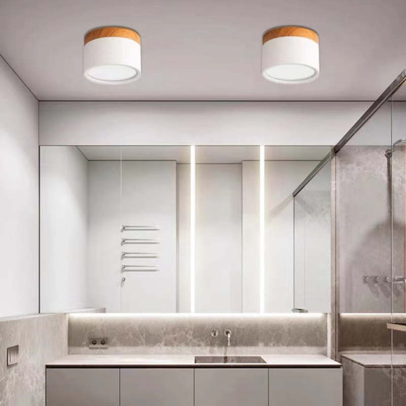 Morandi Style Modern LED Ceiling Lamp - LumiModo
