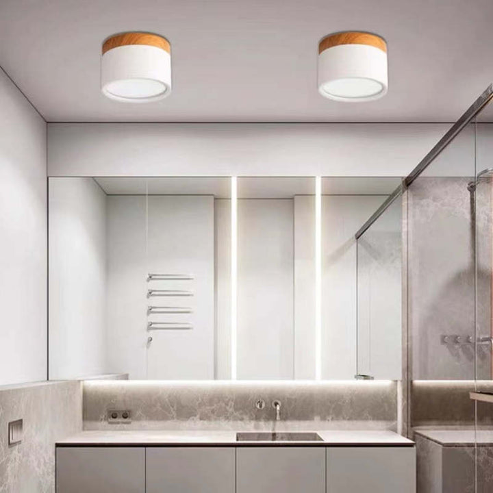 Morandi Style Modern LED Ceiling Lamp - LumiModo