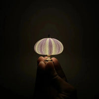DIY Zee-egel Nachtlampje - LumiUrchin