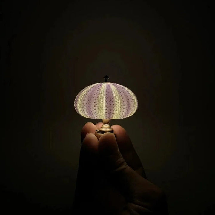 DIY Zee-egel Nachtlampje - LumiUrchin