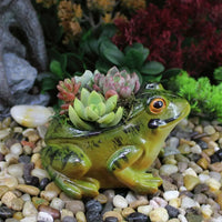 Cienisty Oddychający Doniczka - FroggyPot