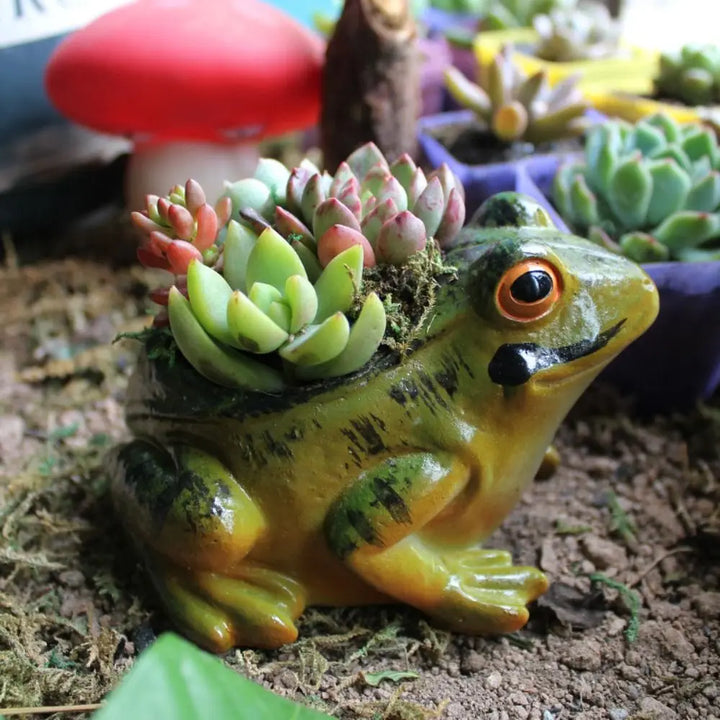 Cienisty Oddychający Doniczka - FroggyPot