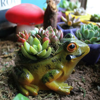 Cienisty Oddychający Doniczka - FroggyPot