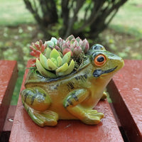 Cienisty Oddychający Doniczka - FroggyPot