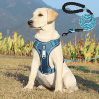 Anti-Pull Dog Harness with Comfort Padding – PullFree