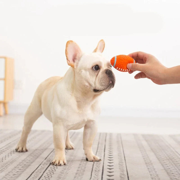 Het Onverwoestbare Speelmaatje voor Honden - KryptoChew
