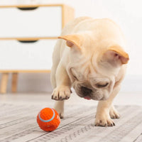 Het Onverwoestbare Speelmaatje voor Honden - KryptoChew
