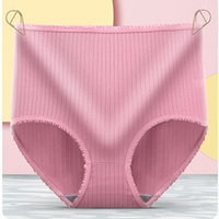 Leakproof High-Waist Underwear – Camille (8-pack)