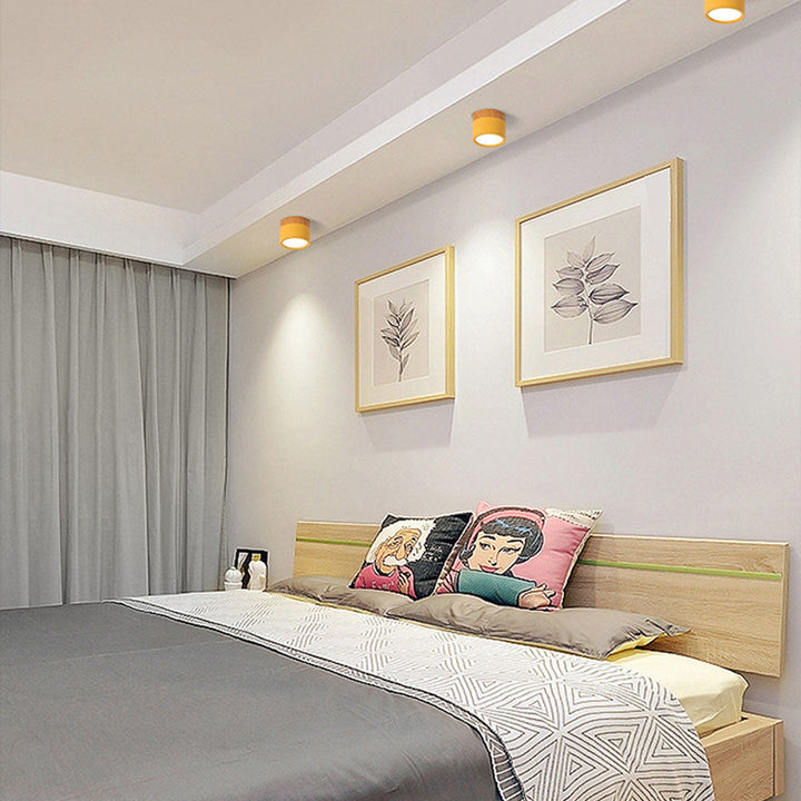 Compact Cylindrical Ceiling Light - Kyntaro