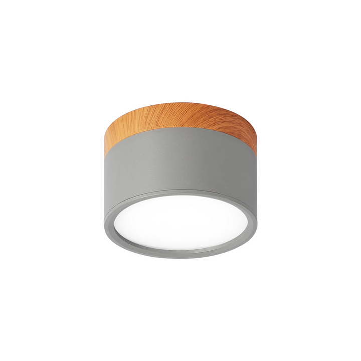 Compact Cylindrical Ceiling Light - Kyntaro