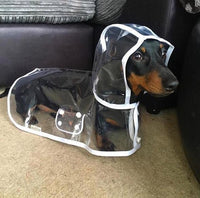 Transparent Waterproof Raincoat for Dogs - DryPaw