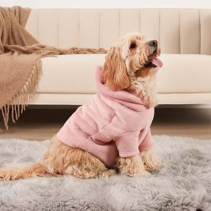 Hoodie Set for Owners and Their Dog - PawMatch