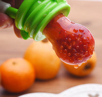 Fruit Teether - BabyBite