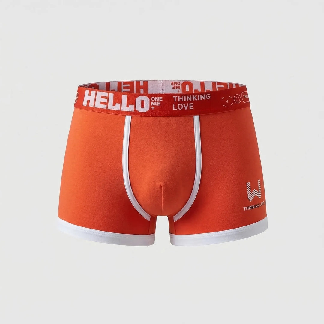 Fitted Boxer Brief With Waistband Branding (8-Pack) -  Shaun