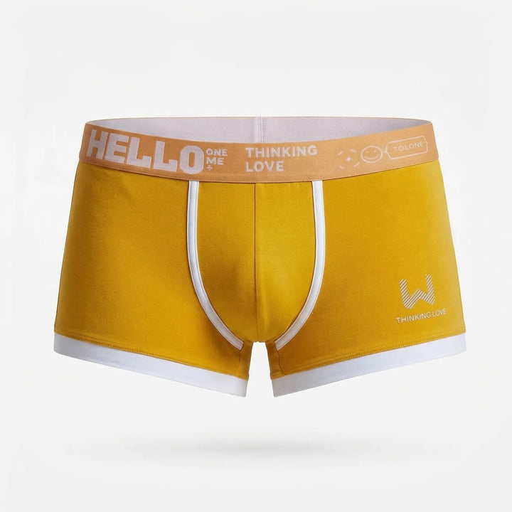 Fitted Boxer Brief With Waistband Branding (8-Pack) -  Shaun
