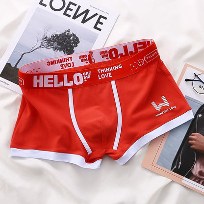 Fitted Boxer Brief With Waistband Branding (8-Pack) -  Shaun