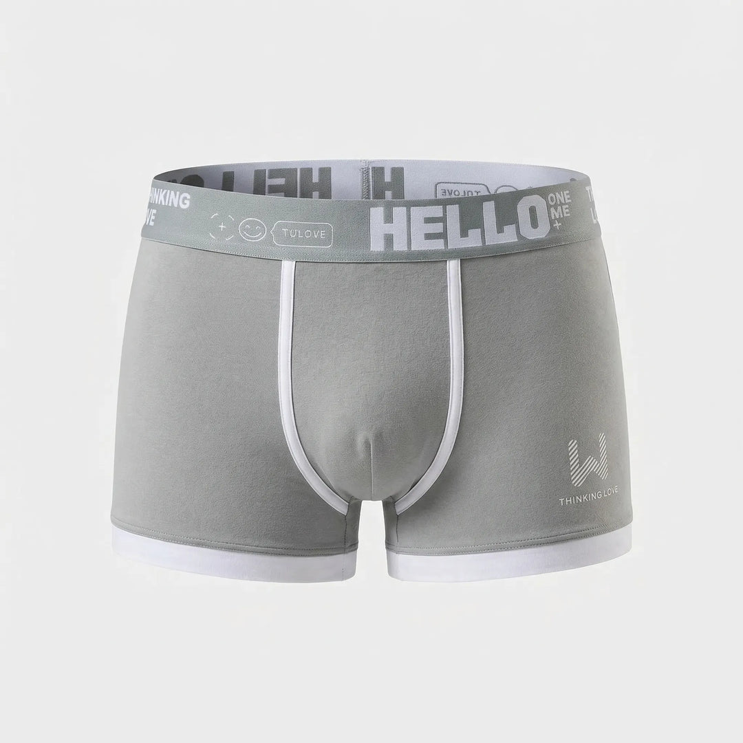 Fitted Boxer Brief With Waistband Branding (8-Pack) -  Shaun