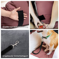 Honden Autobed - BearBuddy