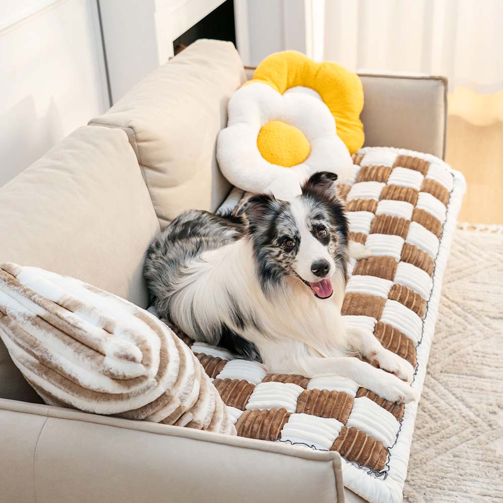 Soft Pet Blanket - CozyCover