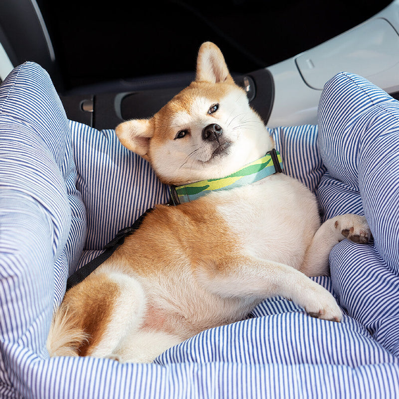 Comfortable Dog Bed for the Car - TravelPaw