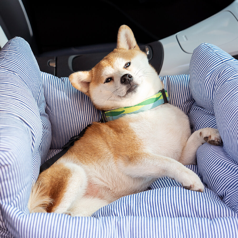 Huisdier Autostoel - RoadTrip Pet Bolster