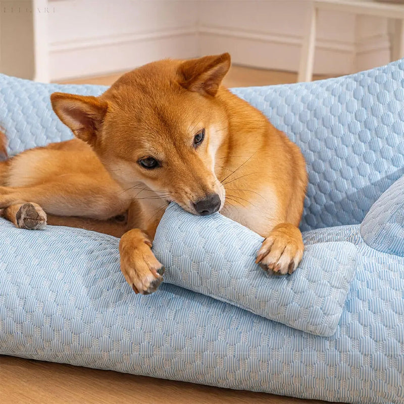 Wasbaar Pluche Kussenbed voor Huisdieren - CozyPaws