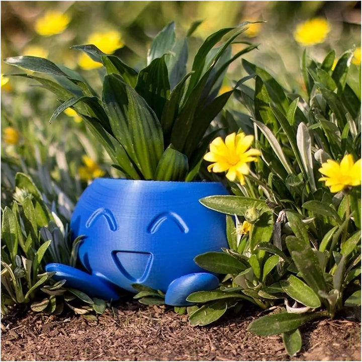 Unikalna donica na sukulenty - QuirkyPot