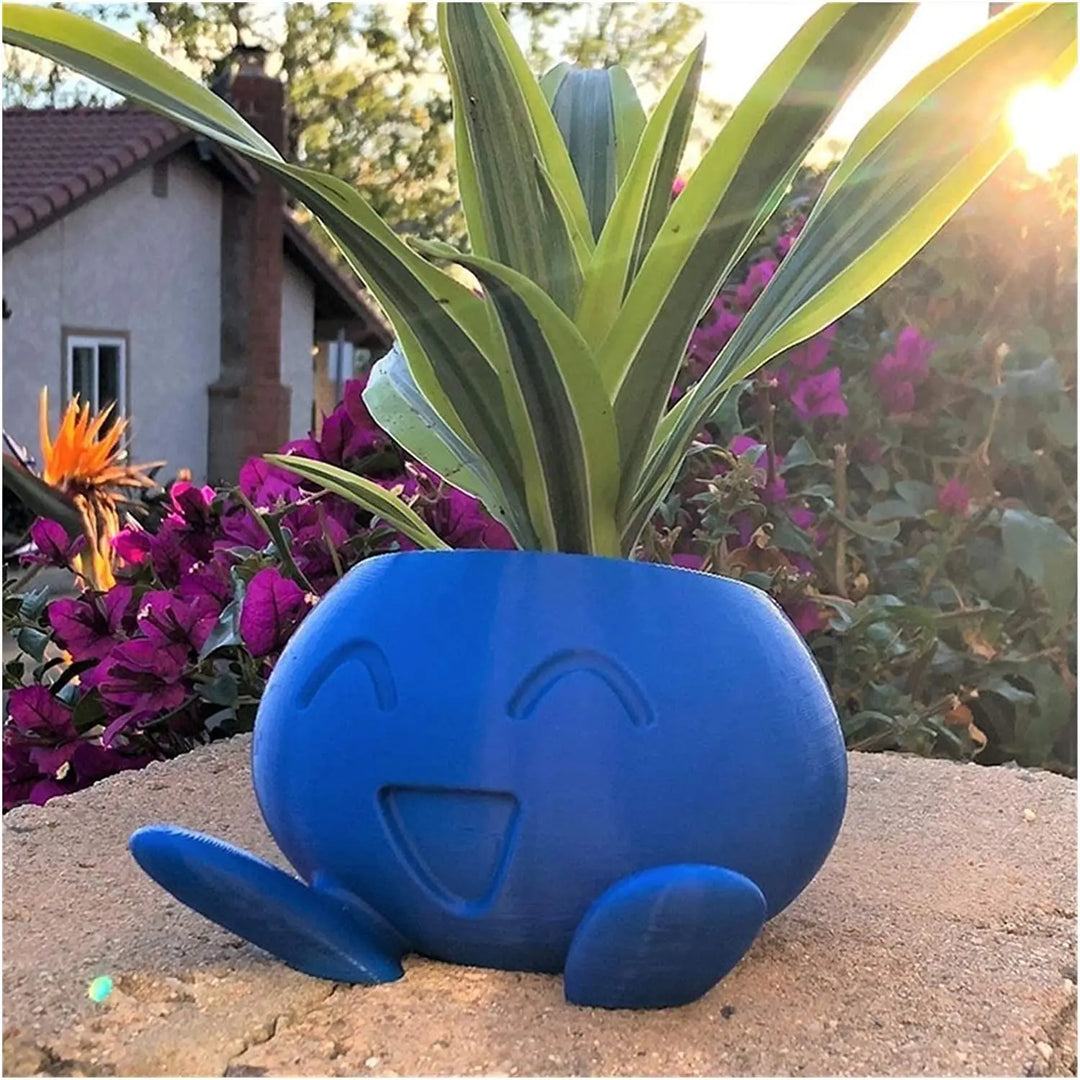 Unikalna donica na sukulenty - QuirkyPot