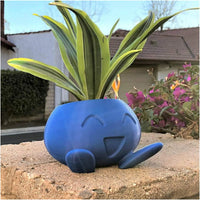 Unikalna donica na sukulenty - QuirkyPot