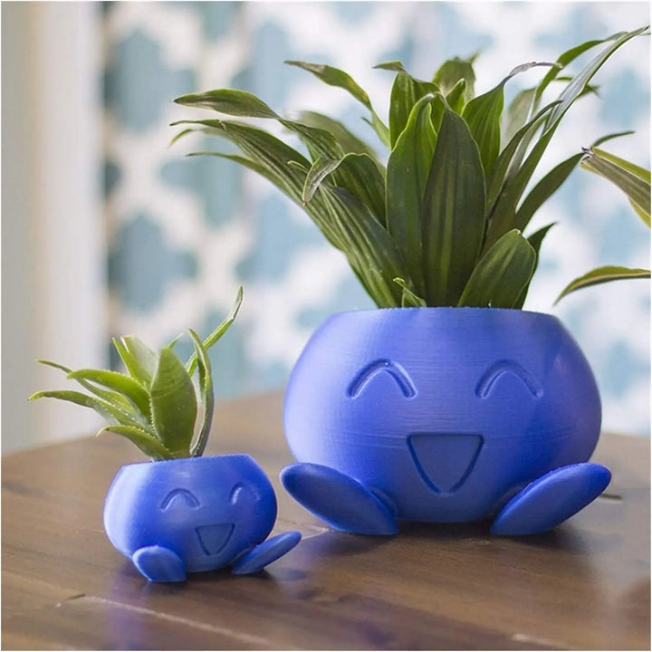 Unikalna donica na sukulenty - QuirkyPot
