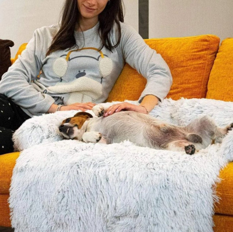 Luxury Dog Sofa Bed - PawLounge
