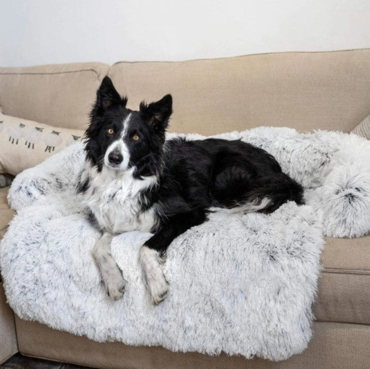 Luxury Dog Sofa Bed - PawLounge