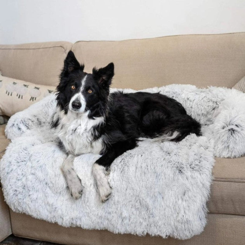 Luxury Dog Sofa Bed - PawLounge