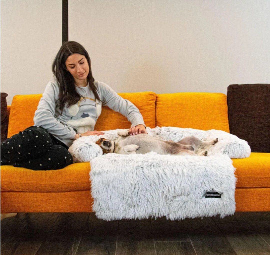 Luxury Dog Sofa Bed - PawLounge