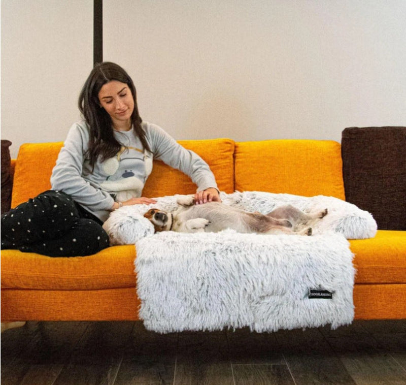 Luxury Dog Sofa Bed - PawLounge