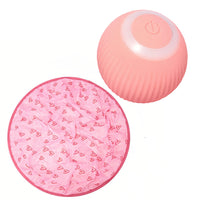 Interactive Moving Toy for Cats – WhiskRoll