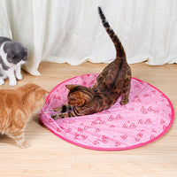 Interactive Moving Toy for Cats – WhiskRoll