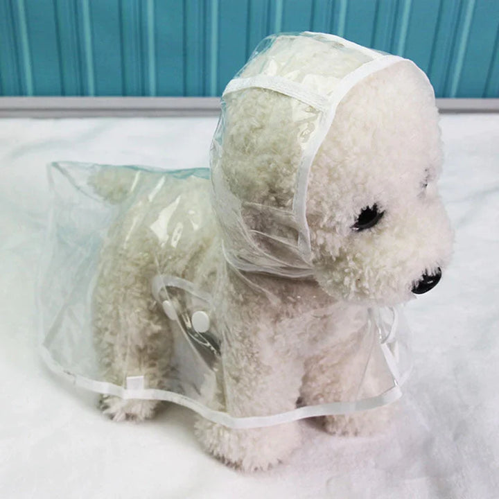 Transparent Waterproof Raincoat for Dogs - DryPaw