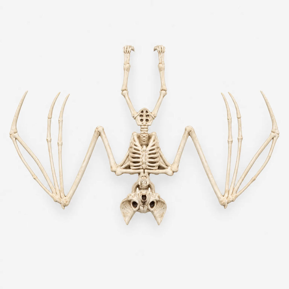 Hanging Bat Skeleton - Nocturnia