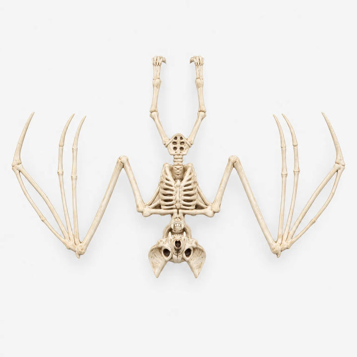 Hanging Bat Skeleton - Nocturnia