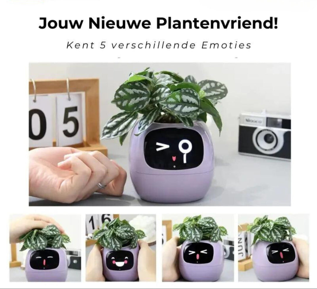 Automatic Smart Flower Pot - GreenBuddy SmartPot