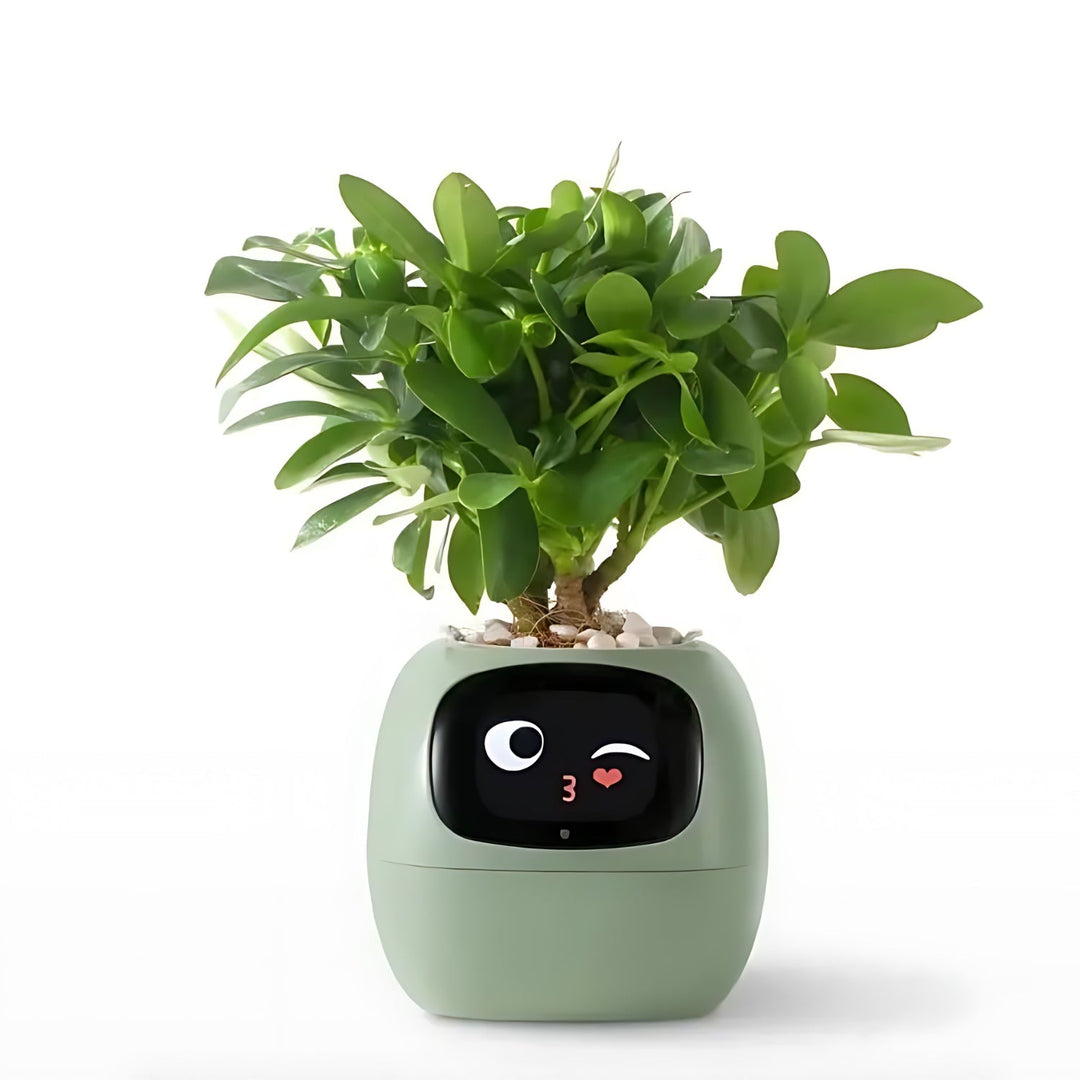 Automatic Smart Flower Pot - GreenBuddy SmartPot