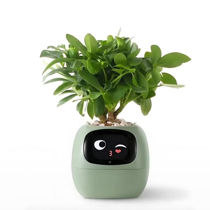 Automatic Smart Flower Pot - GreenBuddy SmartPot