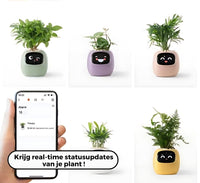 Automatic Smart Flower Pot - GreenBuddy SmartPot