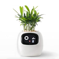 Automatic Smart Flower Pot - GreenBuddy SmartPot
