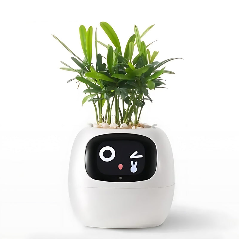 Automatic Smart Flower Pot - GreenBuddy SmartPot