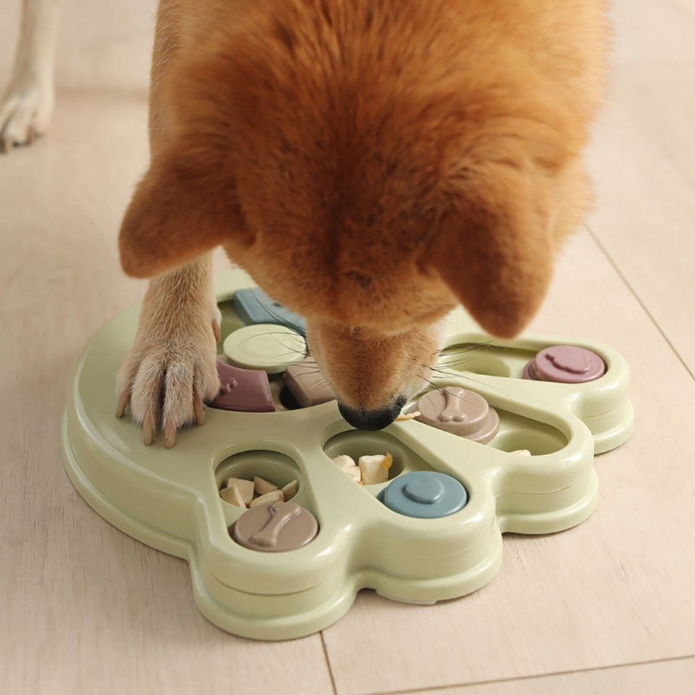 Brain Training Dog Trainer - MindMaze