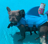 Honden Zwemvest - AquaPup